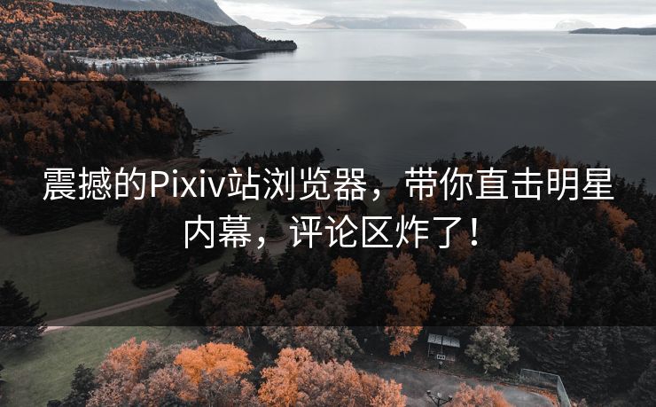 震撼的Pixiv站浏览器，带你直击明星内幕，评论区炸了！