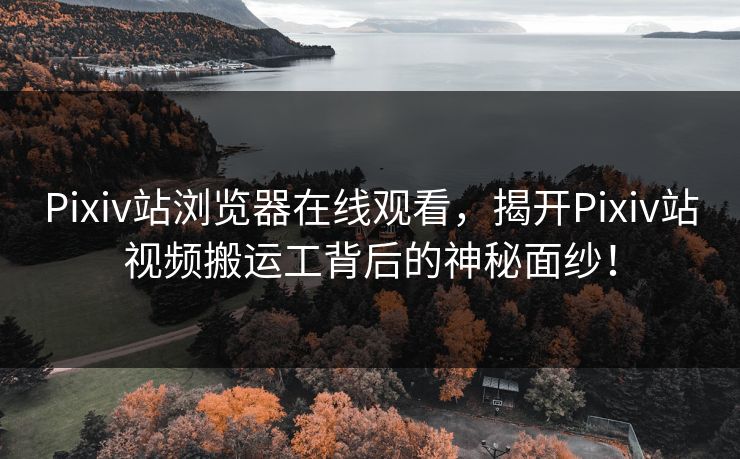 Pixiv站浏览器在线观看，揭开Pixiv站视频搬运工背后的神秘面纱！