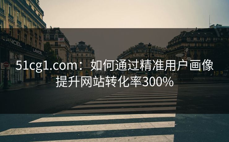 51cg1.com：如何通过精准用户画像提升网站转化率300%
