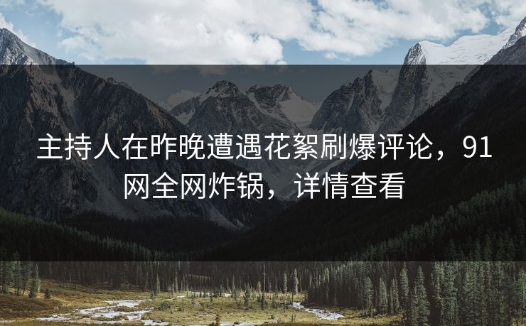 主持人在昨晚遭遇花絮刷爆评论，91网全网炸锅，详情查看