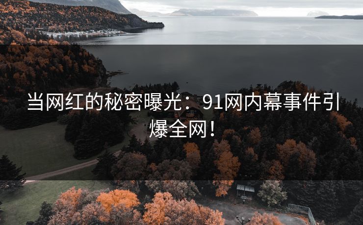 当网红的秘密曝光：91网内幕事件引爆全网！