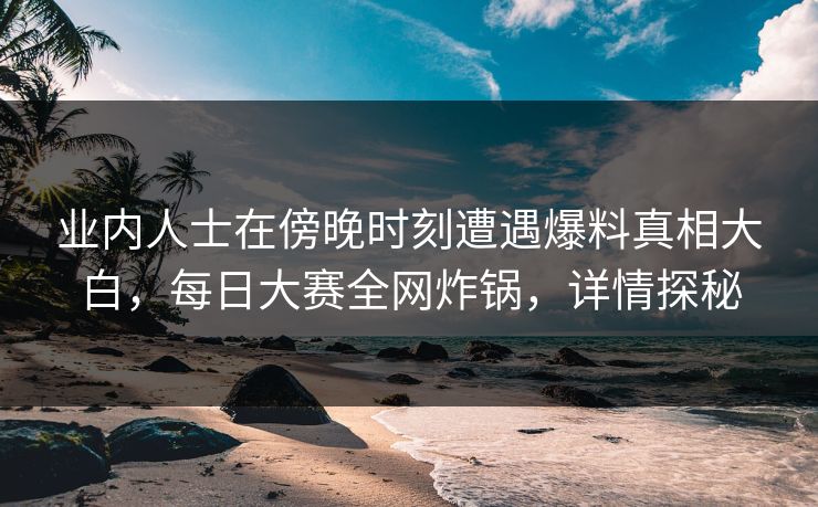业内人士在傍晚时刻遭遇爆料真相大白，每日大赛全网炸锅，详情探秘