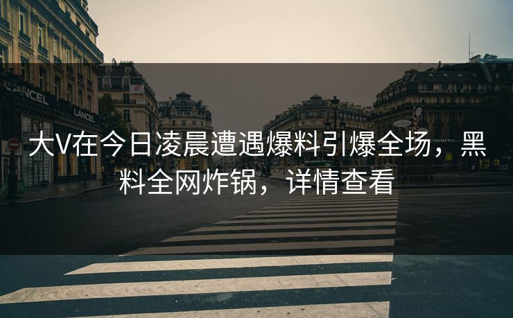 大V在今日凌晨遭遇爆料引爆全场，黑料全网炸锅，详情查看