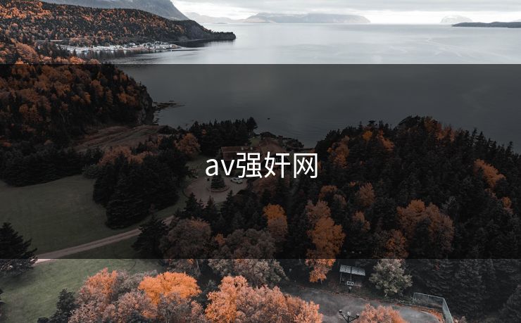 av强奸网